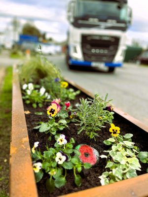 Environmental and Sustainability Policy 2